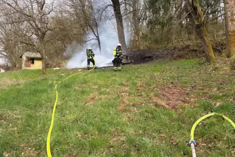 Die Feuerwehr konnte die Flammen löschen und verhindern, dass das Feuer auf den Wald übergreift. 