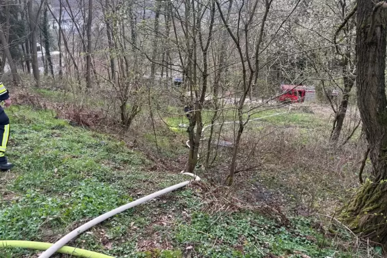 Im Einsatz waren 20 Feuerwehrleute mit vier Fahrzeugen aus Contwig, Dellfeld und Battweiler