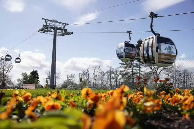 Attraktion bei der Buga 2023 in Mannheim: die Seilbahn. 