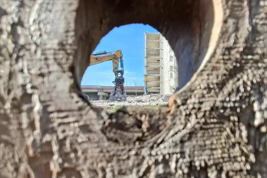 Bagger mit langen Greifarmen übernahmen vom Boden aus.