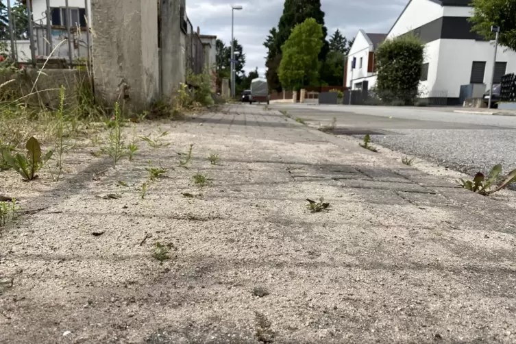 Werden ausgetauscht: alte und verschobene Gehwegplatten im Wohngebiet &bdquo;Oberk&auml;mmerer&ldquo;.