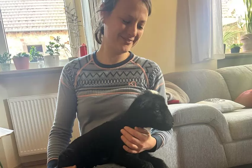 Melanie Seeber kümmert sich um die kleine Tiffany, die ein paar Tage im Wohnzimmer wohnte.
