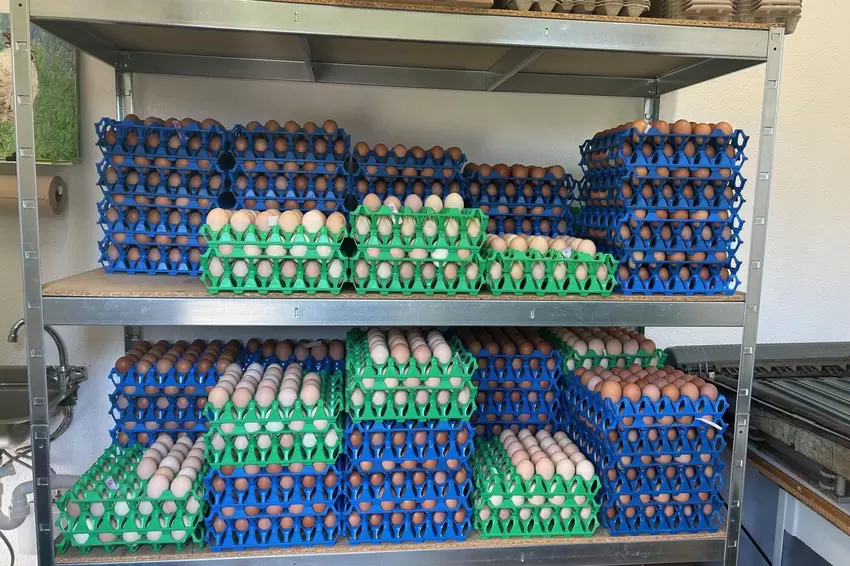 Der Osteransturm kann kommen: Genug Bio-Eier für Eiersuche, Festessen und Dekoration.