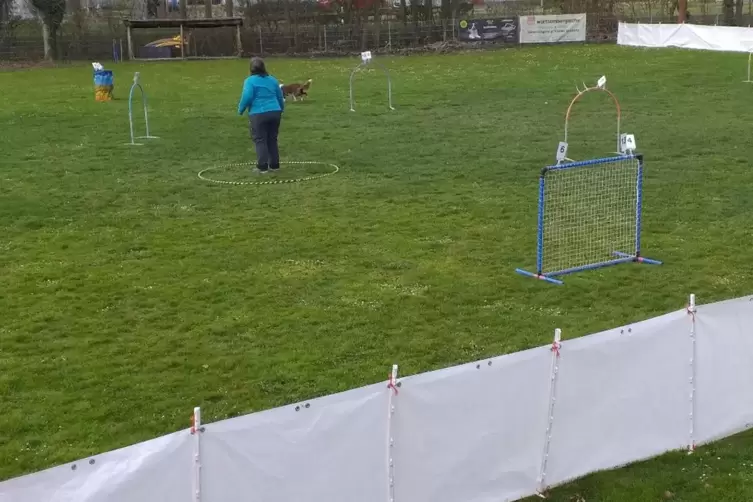 Der Mensch darf nicht mit seinem Hund mitlaufen. 