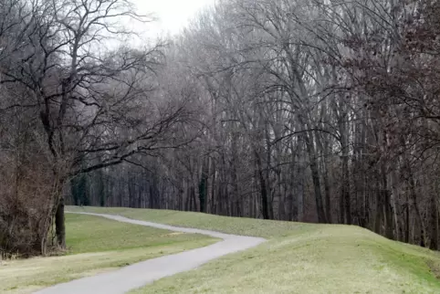Radweg Altrip Waldsee