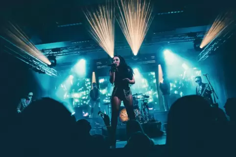 Spielt pro Jahr mehr als 50 Live-Shows: die Band Barbed Wire. 