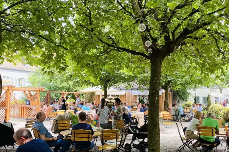 Beliebt unter B&auml;umen: Biergarten im Domhof. 