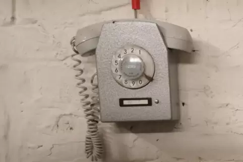 64805156