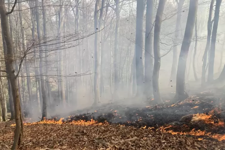 Im Wald zwischen Morlautern und Erlenbach hat es gebrannt. 