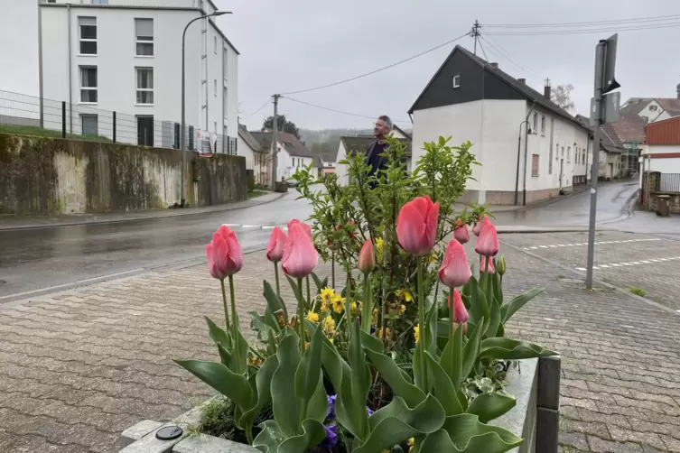 Ortsrundgang in Sembach: Die Landfrauen &uuml;bernehmen das Bepflanzen der Blumenk&uuml;bel im Ort. 