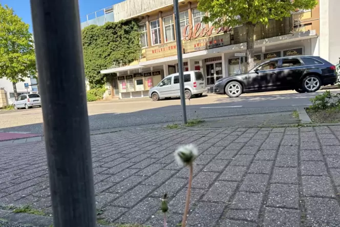 Das Gloria steht im Fokus der rechtlichen Auseinandersetzung der Stadt Landau mit Gummi Mayer. Das Gloria steht im Fokus der rechtlichen Auseinandersetzung der Stadt Landau mit Gummi Mayer.