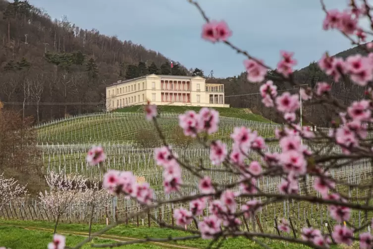 Bis 2019 war hier die Slevogt-Galerie zu sehen: Villa Ludwigsh&ouml;he &uuml;ber Edenkoben.