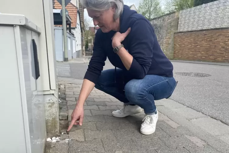 Macht sich jetzt Sorgen um die Glasfaser-Kabel: Bissersheims B&uuml;rgermeisterin Kerstin Ort-Bausbacher. 