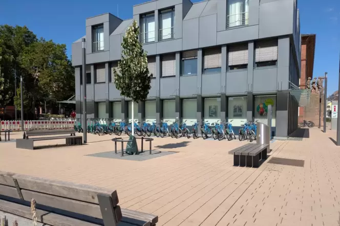 Mehr Grün wird vor allem für die Stadtmitte gefordert. In diesem Jahr sollen 750 Bäume gepflanzt werden. Mehr Grün wird vor allem für die Stadtmitte gefordert. In diesem Jahr sollen 750 Bäume gepflanzt werden.