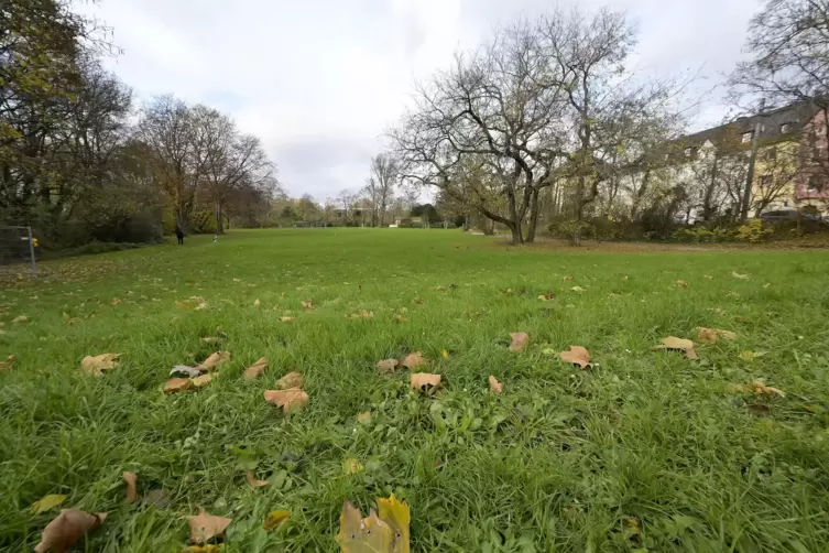 Der Marienpark an der Hohenzollernstra&szlig;e soll zum Ausweichstandort werden. 