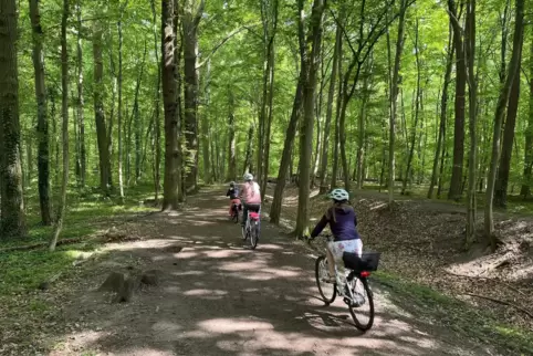 Der Mutterstadter Wald ist ein Ort der Erholung.