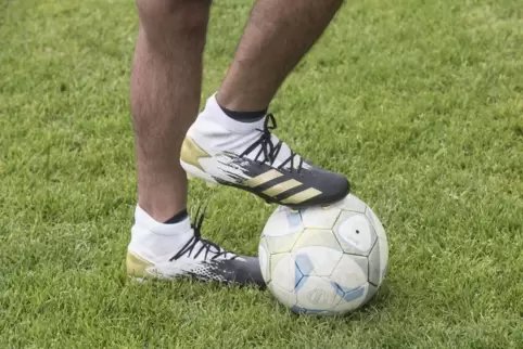view_fb_fc_erlenbach020821mgo05