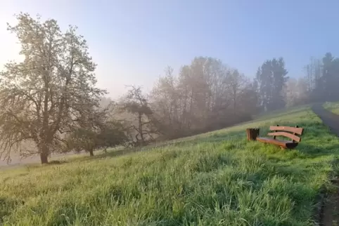 Am Wochenende lässt sich wieder öfter die Sonne blicken. RHEINPFALZ-Leser Theo Moritz aus Brücken ist bei einem Morgenspaziergan