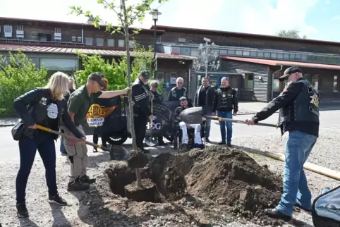 Die Motorradfreunde bezahlten nicht nur den Baum, sondern packten auch mit an. 