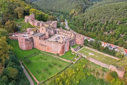 Die riesige Burgruine Hardenburg ist auch bei der Familienkarte dabei. 