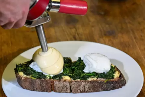 Koch richtet Sauce Hollandaise mit einem Sahnesyphon an