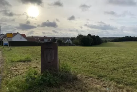 Auf diesem Feld will ein Investor eine Solaranlage aufstellen. Bisher war der Stadtrat immer für diese Pläne, doch nach der erne