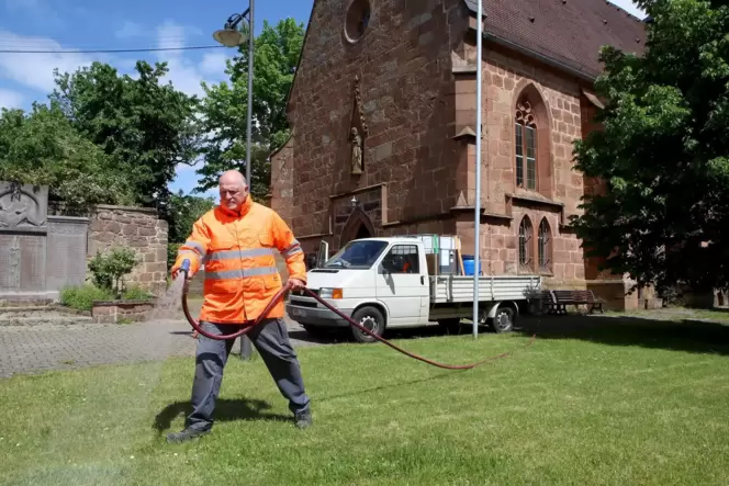 Ameisenbekämpfer Christian Weiller bringt Nematoden im Bereich der katholischen Kirche in Burrweiler aus.