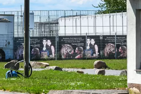 Ausgebrochener Tiger - Tag danach