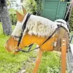 11251846_10_1 Unser Holzpferd sucht einen neuen Pferdeliebhaber. Der Kopf ist schwenkbar. Die Mähne und der Schwanz sind in Mitleidenschaft ge