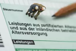 Einkünfte aus Riester-Verträgen müssen versteuert werden. 