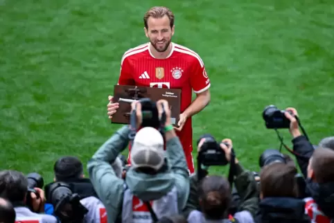 Torjäger Harry Kane
