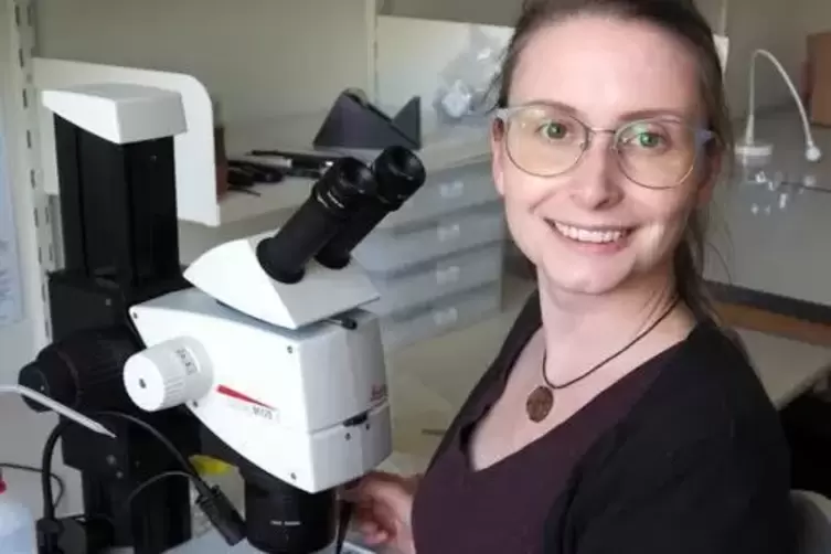 Tapinoma-Expertin: Insektenforscherin Amelie H&ouml;cherl arbeitet in einem Projekt zur Erforschung der invasiven Ameisenart. 
