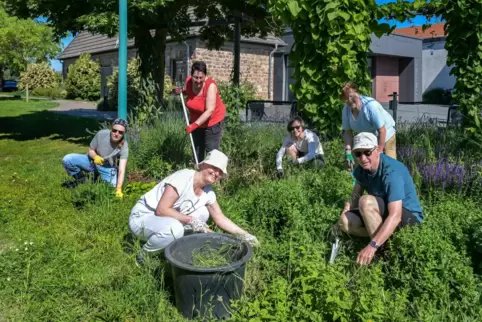 Erste Aktion: Die neue Bürgerinitiative in Römerberg traf sich zum Unkrautjäten rund ums Zehnthaus. Mit dabei war Organisatorin 