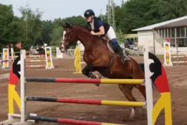 Xenia Kaehl-Schmidt mit Remondo auf dem Weg zum Erfolg im Springen der Klasse M. 