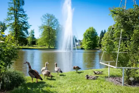 Sommerliches Wetter in Rheinland-Pfalz