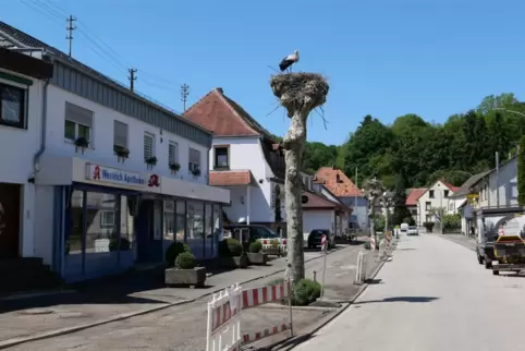 Gestörte Nestruhe: Unter dem Störchen und ihrem Nachwuchs laufen Straßenarbeiten mit schwerem und lautem Gerät. 