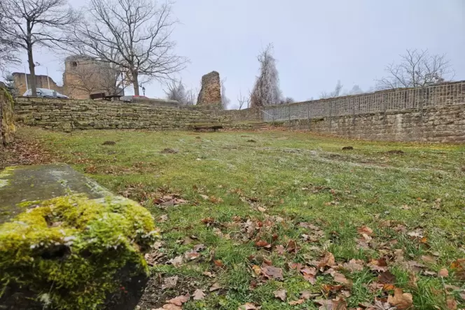 Auf diesem Gelände unterhalb der Neuleininger Burg soll der Mehrgenerationenplatz entstehen.