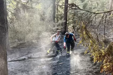 Am Mittwochabend: Waldbrand auf dem Kieskautberg. 