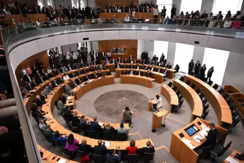 Am Dienstag steht die Bildung der 14 Fachausschüsse des rheinland-pfälzischen Landtags an.