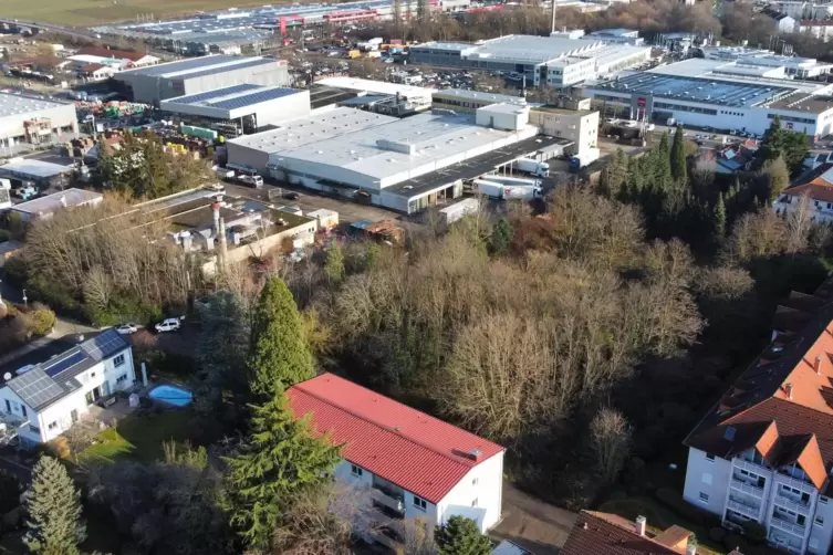 Die Anlieger profitieren von einem Lebensmittelmarkt im Norden. Unser Bild zeigt Kissel mit der Gr&uuml;nfl&auml;che und oben die Anrainer
