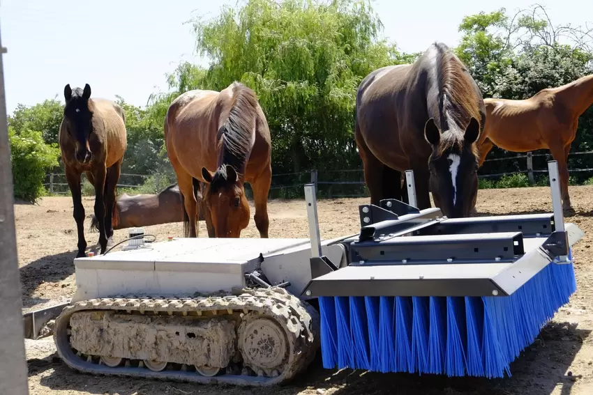 In diesem Teil des Hofs war der Roboter nämlich noch nicht.