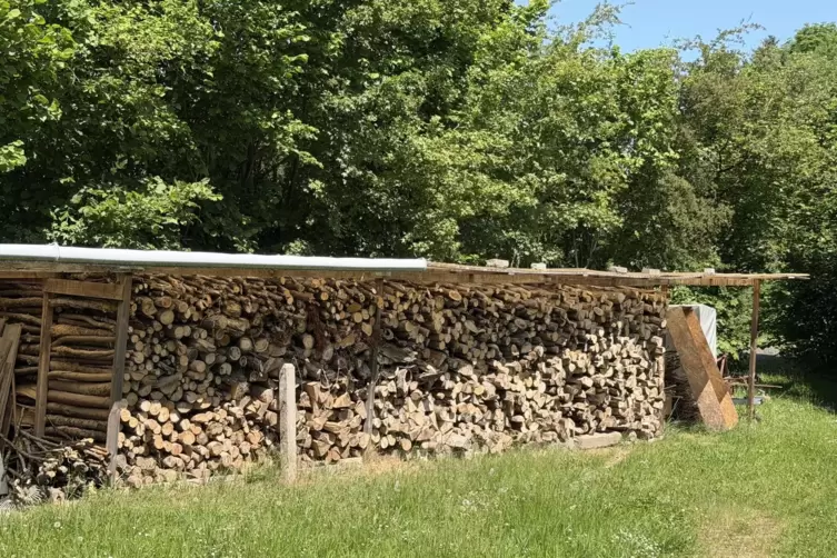 Holzvorrat in Bliesdalheim, nah beim Radweg. 