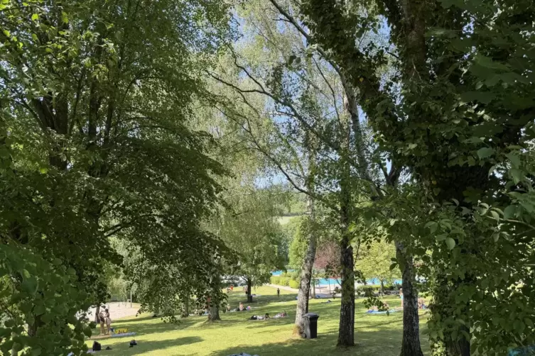 Vor lauter B&auml;umen sieht man das Wasser kaum: Das schattige Freibad in Walsheim sorgt f&uuml;r Abk&uuml;hlung. Hier gibt&rsquo;s auch einen Campi