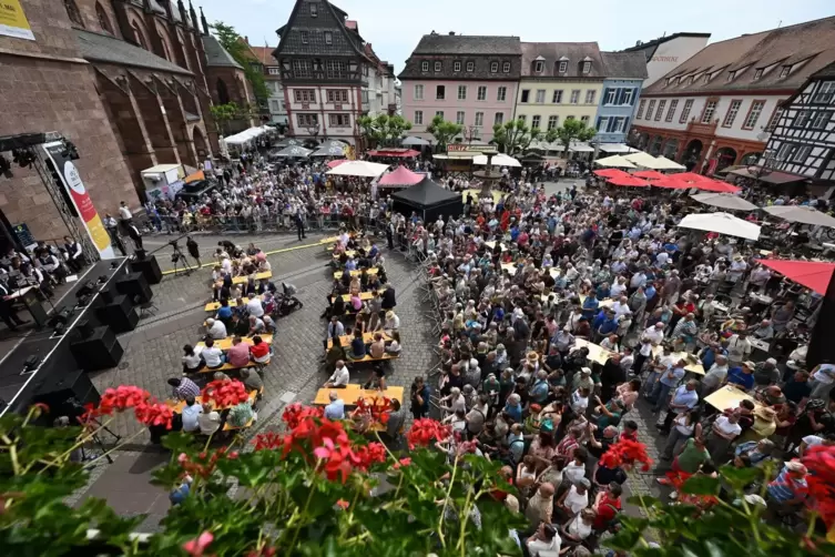 Bundespr&auml;sident Steinmeier er&ouml;ffnet &laquo;Fest der Demokratie&raquo;