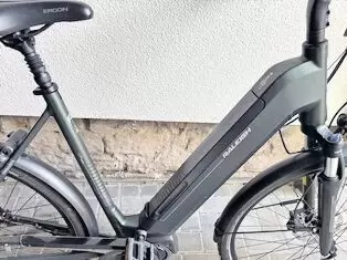 Neu Wertiges Damenrad RH56,Shimano Steps MotorE6100,Akku 540WH Listenpreis 3199,00€ Preis 1600,00€