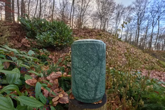 Immer mehr Menschen können sich ein Grab unter Bäumen in einem Ruhewald vorstellen.