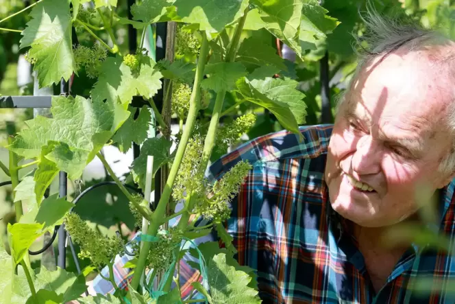 Walter Weidmann in seinem Garten.