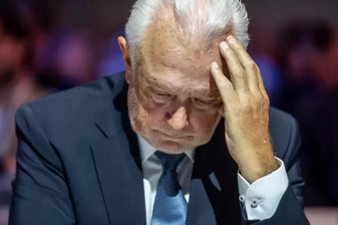 FDP-Chef Wolfgang Kubicki