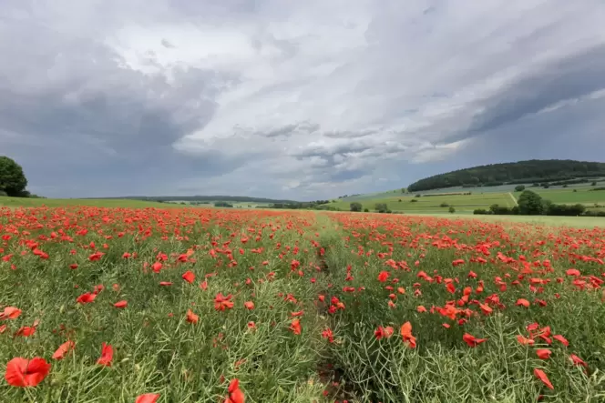 Wetter in Baden-Württemberg