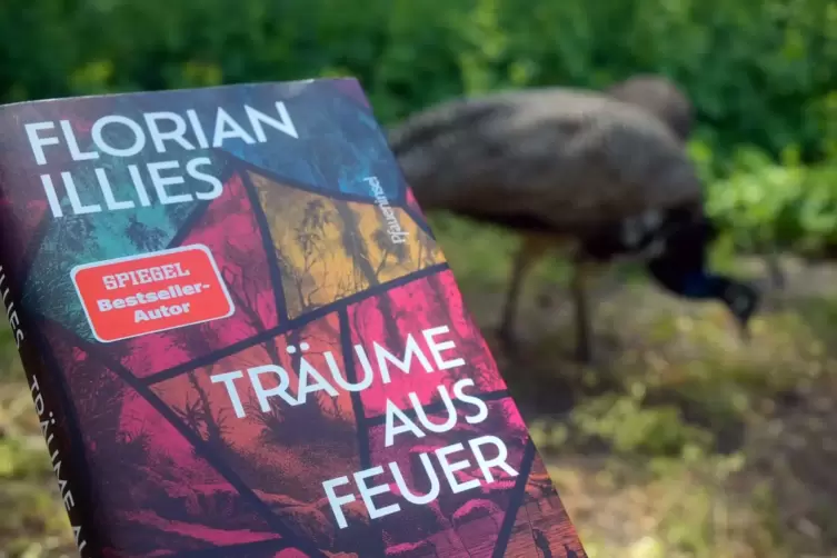 Autor Florian Illies